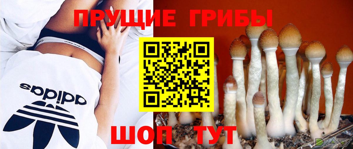 Сызрань  Псилоцибиновые грибы мухоморы  Вход с VPN  как найти закладки  Галлюциногенные грибы мицелий 