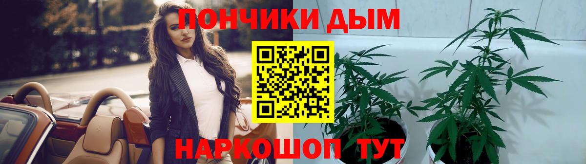 Конопля семена Сызрань